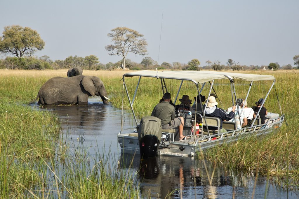 safari bateau delta de l'okavango