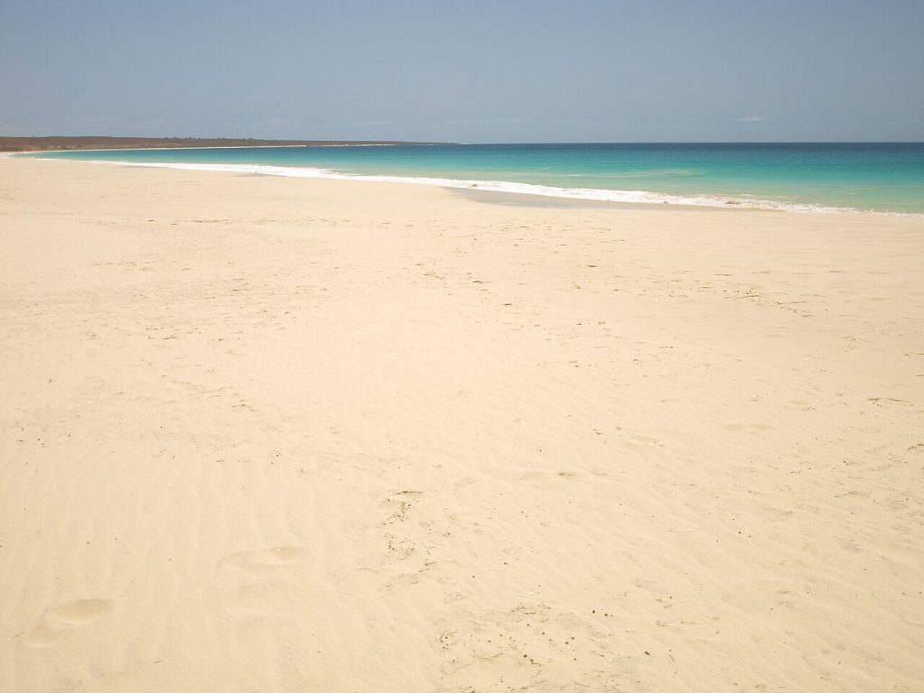 santa monica boa vista
