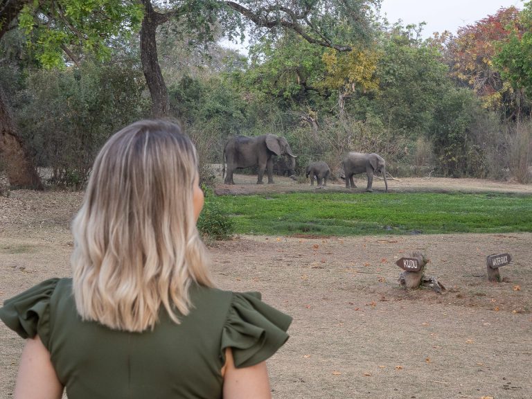elephants three river camps zambie
